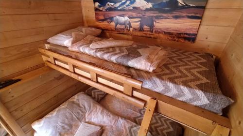 采蒂涅Still cabin的小屋内带两张双层床的客房
