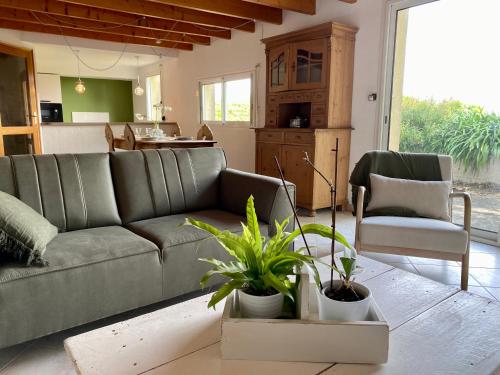 普卢贡韦兰La Grange Neuve的带沙发和一些植物的客厅
