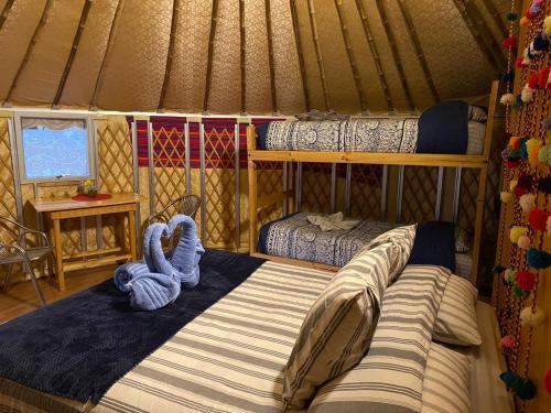 圣佩德罗·德·阿塔卡马Altos de Quitor , Glamping的蒙古包内一间卧室,配有两张床