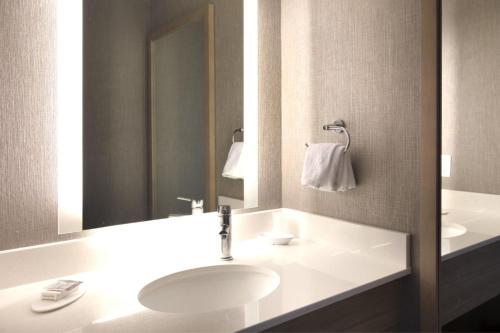 萨凡纳萨凡纳机场万豪春季山丘酒店的一间带水槽和镜子的浴室