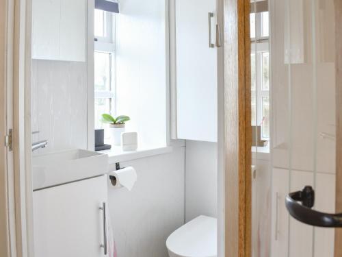 Bardon MillThe Nook的白色的浴室设有卫生间和水槽。