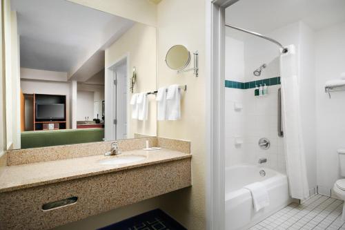 圣卡洛斯旧金山圣卡洛斯万豪费尔菲尔德客栈&套房酒店的一间带水槽、浴缸和卫生间的浴室