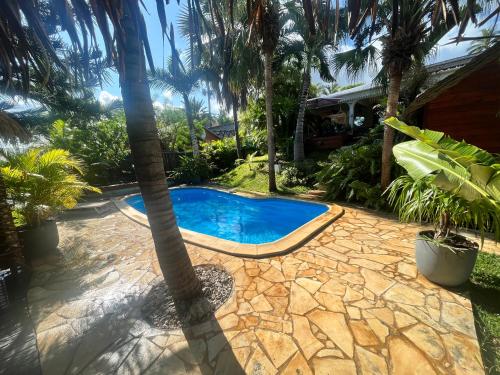 FleurimontBungalow indépendant dans jardin exotique , piscine的一座房子旁的游泳池,里面种着棕榈树