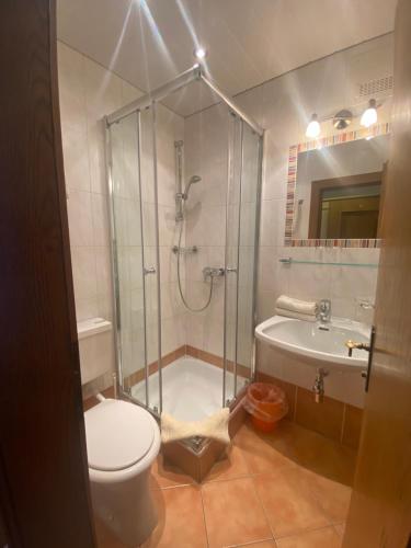 拉姆绍达赫斯坦Landhaus Wieser的带淋浴、卫生间和盥洗盆的浴室