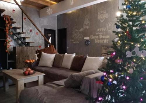 巴统Chase Dream Hostel追梦空间的客厅配有圣诞树和沙发