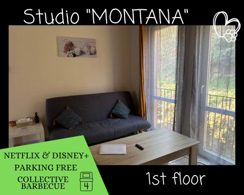 迪南L'ARIZONA Dinant - Appart Arizona, Studio Montana - Garden, Free Parking, Dog ok的带沙发和咖啡桌的客厅