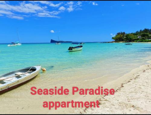 佩雷贝勒Seaside Paradise 2 minutes à pied du Lagoon的坐在海洋海滩上的船