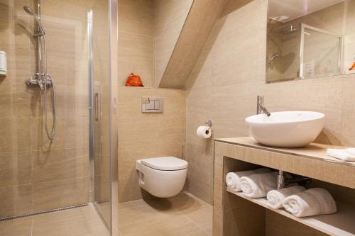 霍多宁维乐奇霍多宁旅馆的带淋浴、卫生间和盥洗盆的浴室