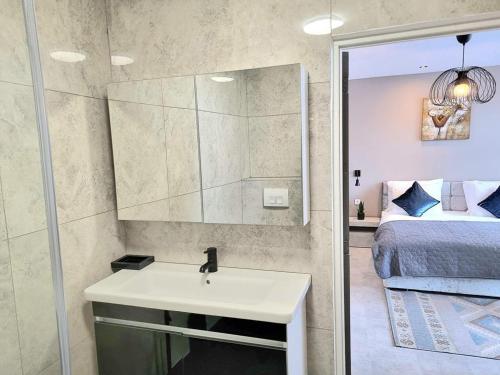 米德尔堡Hotel De Dampoort的一间带水槽、床和镜子的浴室