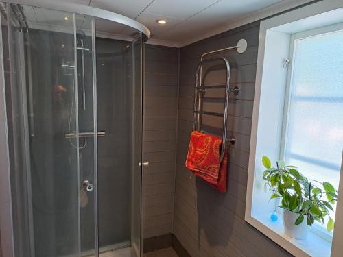 诺拉Hejdbacken的浴室里设有玻璃门淋浴