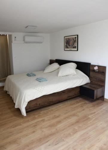 尼姆Maison d'hotes - chambre-kitchenette-salle de bain-espace extèrieur的一间卧室设有一张大床,铺有木地板