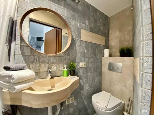 布达佩斯Charming studio shared rooftop terrace/Jacuzzi 360 view的一间带水槽、镜子和卫生间的浴室