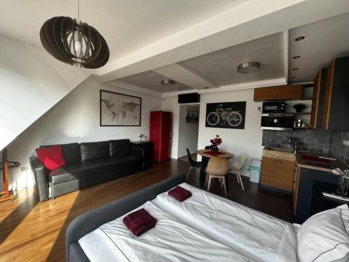 布达佩斯Sunny/stylish rooftop home/private balcony shared jacuzzi的一间带床和沙发的客厅以及一间厨房。