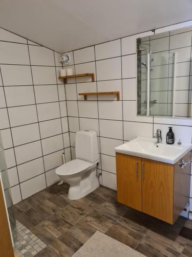 斯塔德Lgh centralt i Ystad的一间带卫生间和水槽的浴室