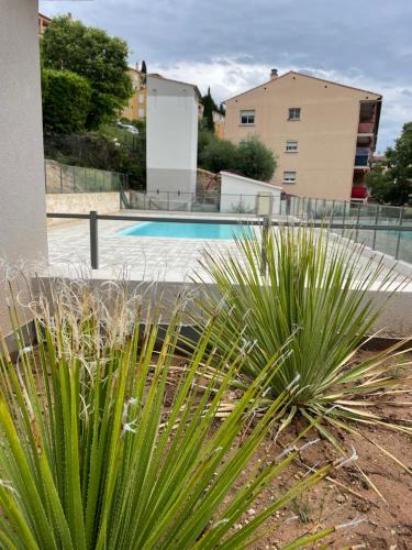 格拉斯L'écrin des Oliviers的享有游泳池和一些植物的景色