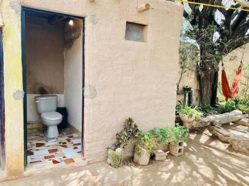 San Rafael de las TorresEstación de sueños Casa de Silvia的浴室设有卫生间和一些盆栽植物