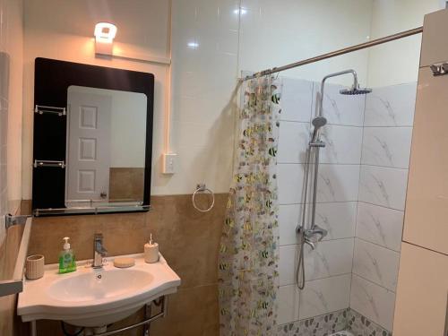 阿皮亚Samoa Business Apartments的一间带水槽和淋浴的浴室