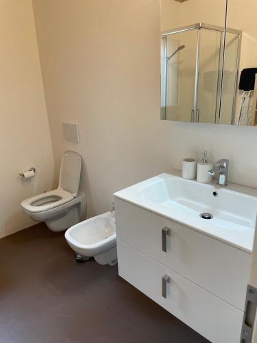 罗维尔Nuova dependance的白色的浴室设有卫生间和水槽。