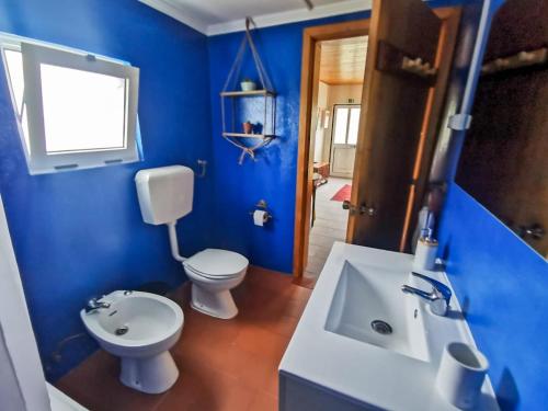 圣克鲁斯达格拉西奥萨Casa da Emilie的蓝色的浴室设有卫生间和水槽