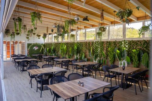 RubjekëVilla Bianca的一间设有桌椅的餐厅,种植了植物