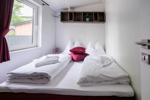 朗道因德普法尔茨Gecko - The Tiny House的带窗户的客房内的两张床