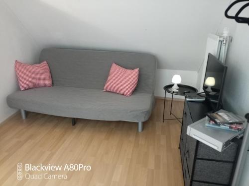 Um Burebierg apartment 35m2的客厅配有带2个粉红色枕头的灰色沙发