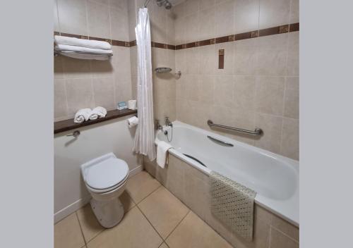 班多伦阿林厄姆阿姆酒店的浴室配有卫生间、浴缸和水槽。