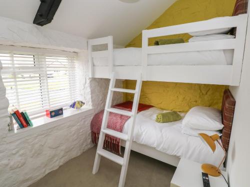 滕比Primrose Cottage的一间卧室设有两张双层床和梯子