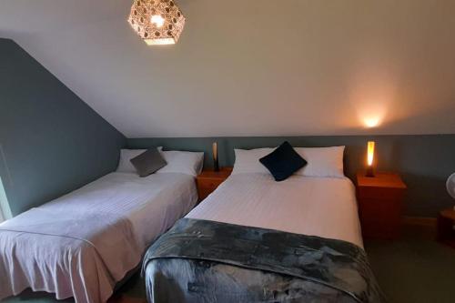 罗斯康芒Private bedroom. Athlone and Roscommon nearby的卧室设有2张床和吊灯。