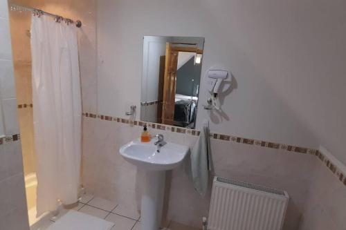 罗斯康芒Private bedroom. Athlone and Roscommon nearby的白色的浴室设有水槽和淋浴。
