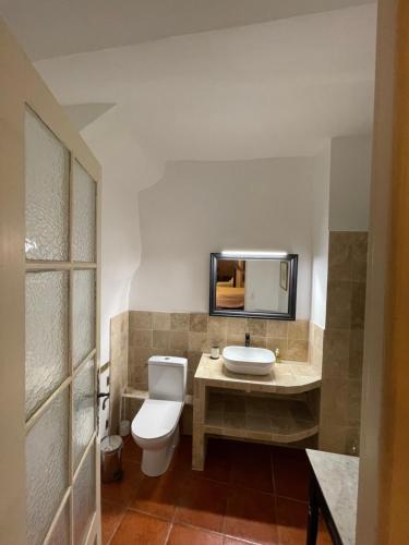 穆斯捷-圣玛丽L'Escalo的一间带卫生间、水槽和镜子的浴室