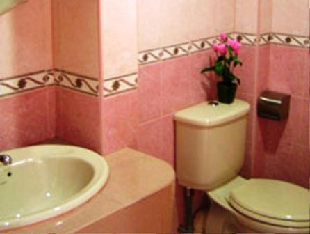 而连突小镇旅馆酒店的粉红色的浴室设有卫生间和水槽