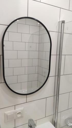克列缅丘格BotaNika的浴室墙上的镜子