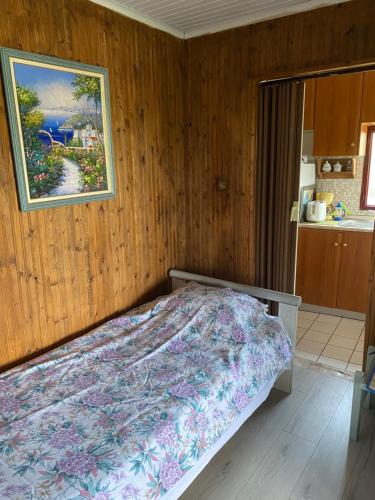 ElaiokhórionReal Holidays Antoniadou - Rustic House的卧室配有一张床,墙上挂有绘画作品