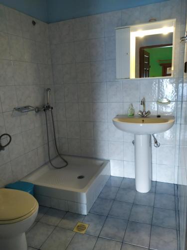 桑加拉达Double studio room in Mylopotamos with beautifull view的一间带水槽、淋浴和卫生间的浴室
