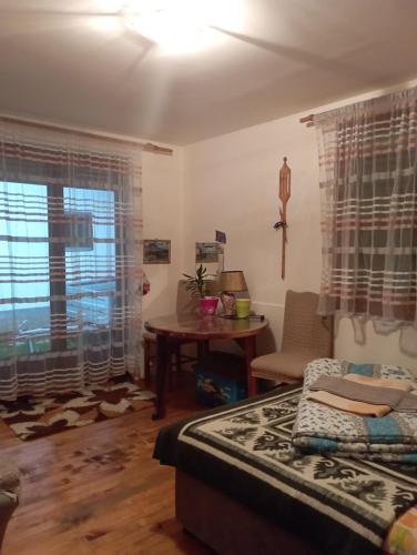 扎布利亚克Rooms Apartment Durmitor的客房设有床、桌子和窗户。