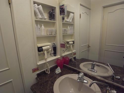 姬路ホテル カルネヴァール 男塾ホテルグループ的浴室设有2个水槽和镜子