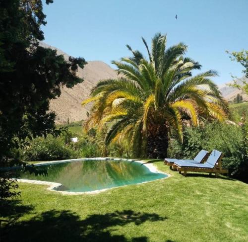 AlcoguazCASAS AMANCAY - Alcohuaz的棕榈树和一个带长凳及棕榈树的游泳池