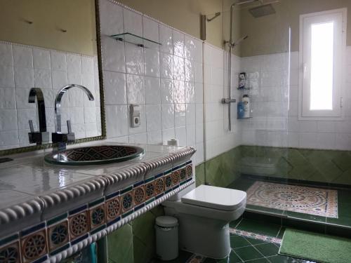 CobisaChalet con encanto的一间带水槽和卫生间的浴室