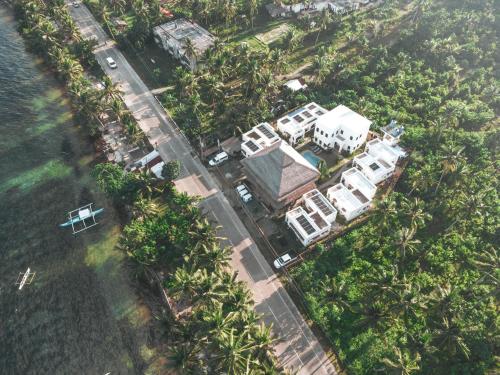卢纳将军城Hostel Bajala Siargao的棕榈树房屋的空中景致