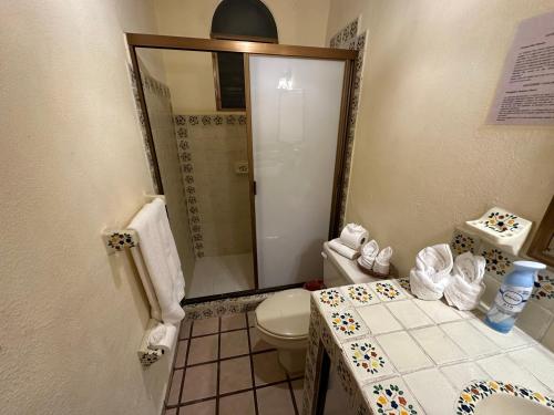 巴亚尔塔港Vallarta Sun Suites的一间带卫生间和淋浴的小浴室