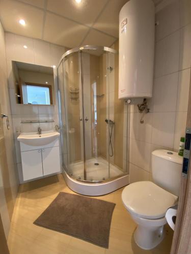 埃勒尼特Sea view apartment in Sveti Vlas的带淋浴、卫生间和盥洗盆的浴室