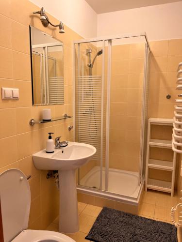 ZnamirowicePrzystań Znamirowice的一间带水槽、淋浴和卫生间的浴室