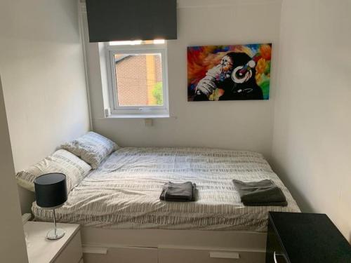 曼彻斯特Cozy Room near City Centre的卧室配有一张挂在墙上的床铺