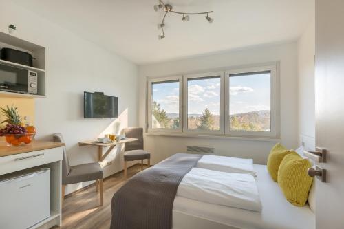巴拉顿城堡Pauzo Balaton的配有一张床、一张书桌和一扇窗户的酒店客房