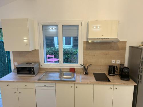 Croissy-BeaubourgMaison studio Le bois fleuri的带水槽的厨房台面和窗户