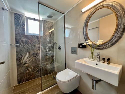 锡西Maria Hotel Sisi的一间带卫生间、水槽和镜子的浴室