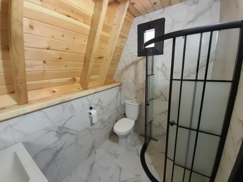 ArdeşenElit Bungalov的一间带卫生间和淋浴的浴室。