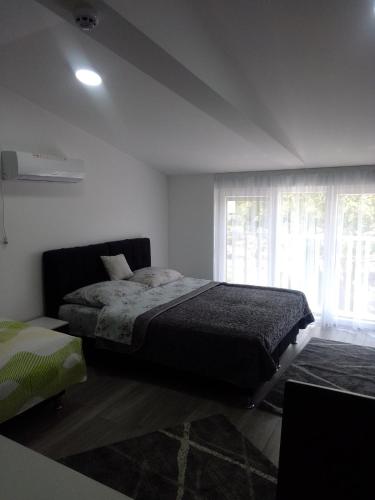 巴尼亚科维利亚查Ljuba的一间卧室设有一张床和一个大窗户