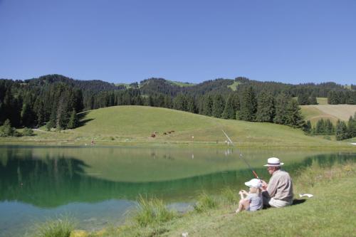 梅杰夫Mamie Megève的坐在湖边的男人和两个孩子